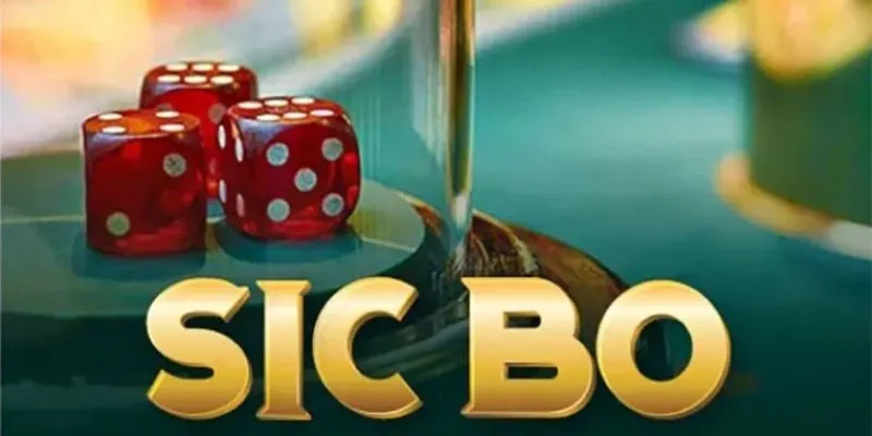 Một vài lưu ý quan trọng khi chơi Sicbo online