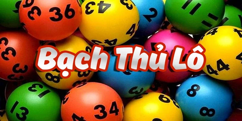 Bạch thủ lô Miền Bắc được hiểu như thế nào?